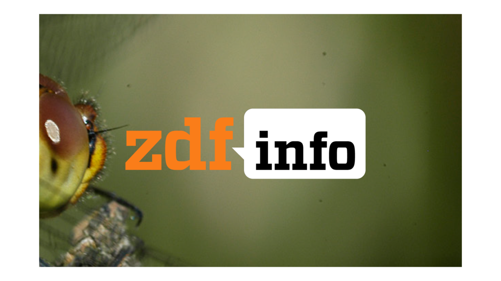 Zdfinfo logo 04b