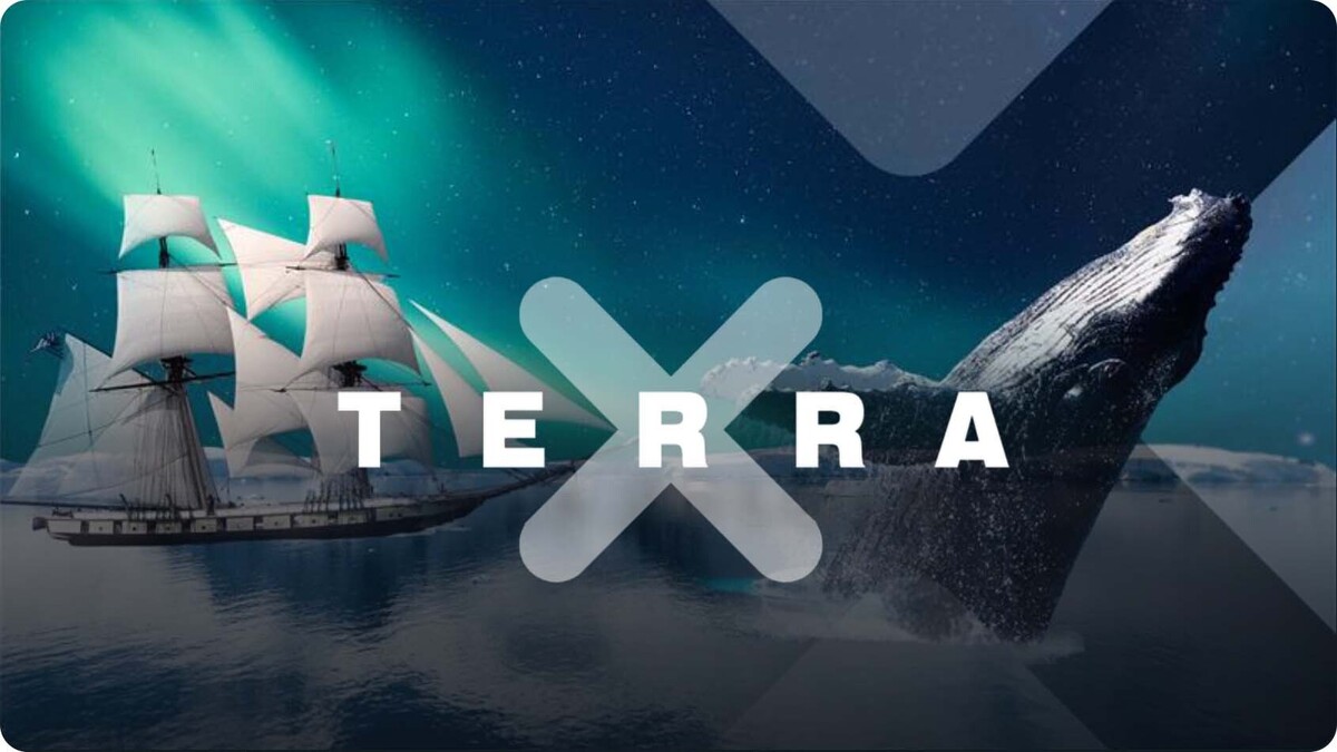 Titelgestaltung streamingportal terrax